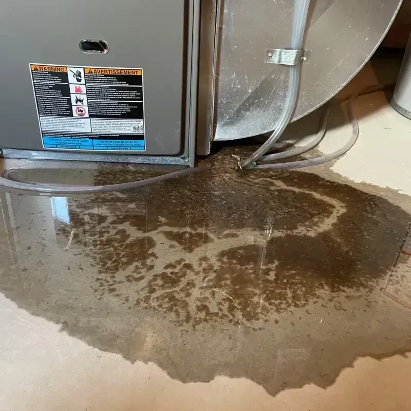 Appliance Leak Cleanup in Oak Hills, PA